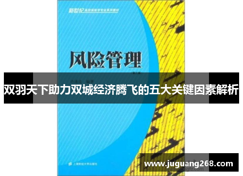 双羽天下助力双城经济腾飞的五大关键因素解析